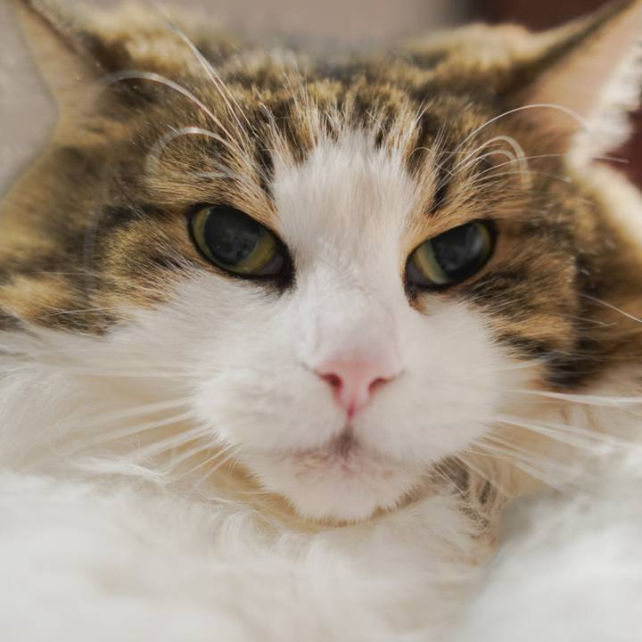 1852ab66 96dc 4fec 8540 50fcda85da7a 1692449465544