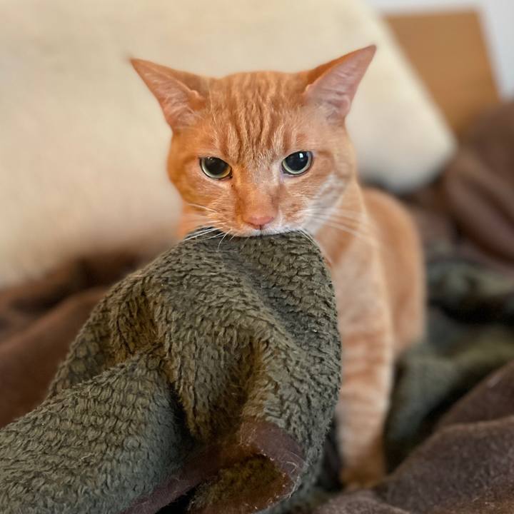 18533f98 a9f0 48c9 aa45 944ab6f9abf4 1768120049095