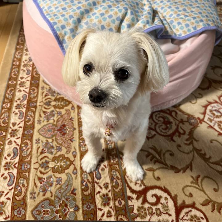 18534303 f72c 48cb 8eca 77e1185de130 1689315435448