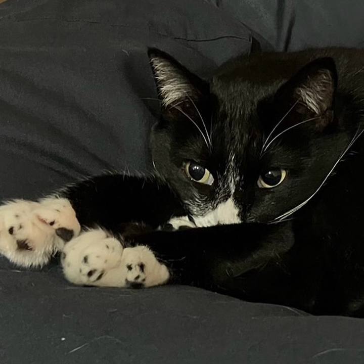 1853a056 a94a 411d 9b49 52669186d749 1702438924399