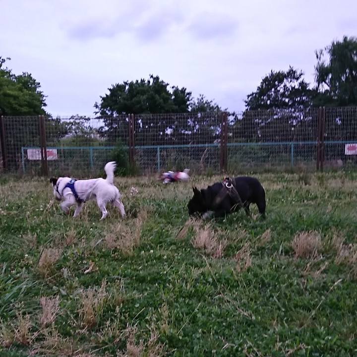 1853ac02 8468 4c89 a0a0 0f58b6c0b9ef 1529146804538