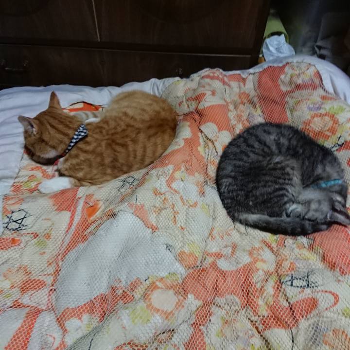 1853dfe3 39f5 4aea a5d0 0fc04699ea40 1570536521334