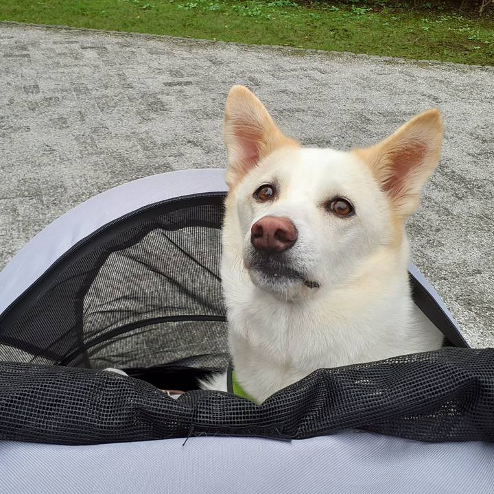 1853e7fe 1d22 4047 b9d9 549d8474230d 1759659871164