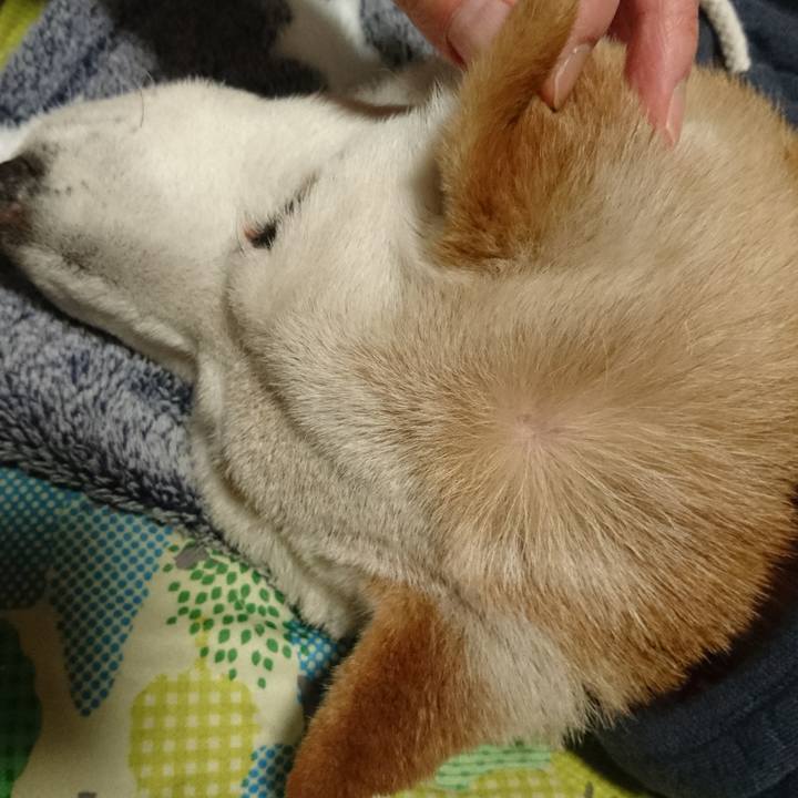 18542706 d91d 4751 9d44 5646c2e5df95 1520814537991