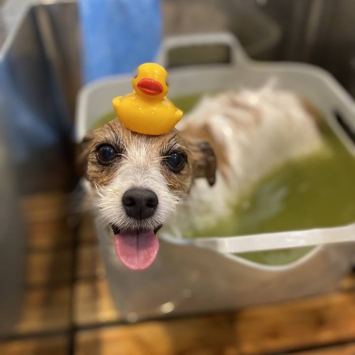 1854ad39 92ce 4cc6 939f bd1e7210d5ed 1730960079164