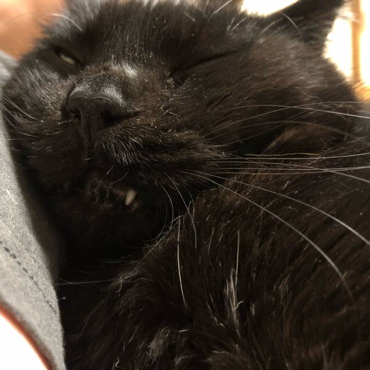 1854cbd5 8fe0 4744 a1bd bb1d27715897 1635607970933