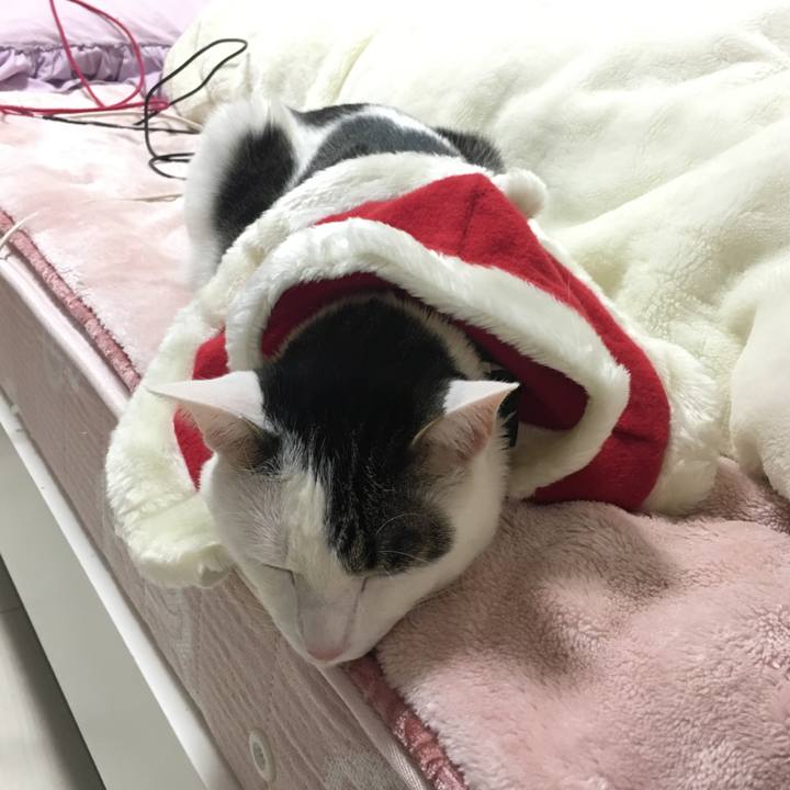 1854de70 74d5 4368 bb6e d98cb8854689 1514198069474