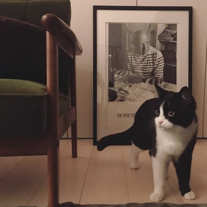 1855112f 7a42 4627 964e ca419c76e02a 1542318934576