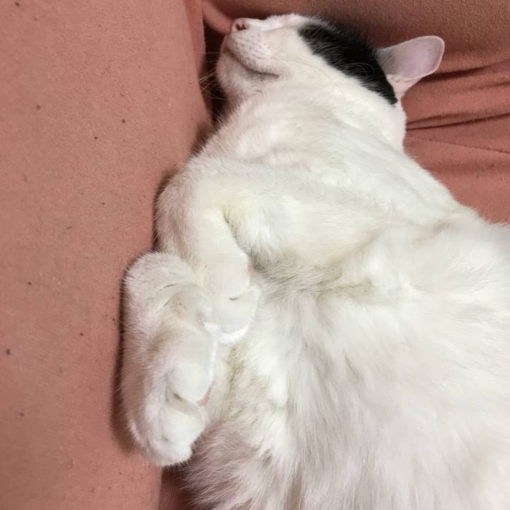 18551bf1 25df 402c ae7c e9ac502d6e59 1529339972313