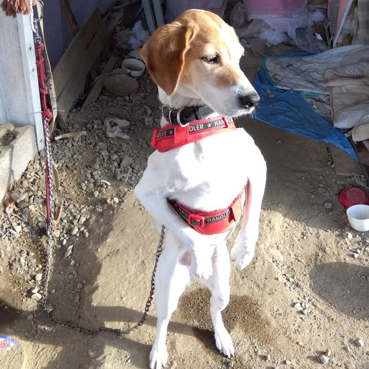 18554ad4 d328 463b 814f df145f83378f 1707481588358