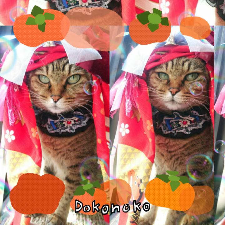 1855ceb8 1edd 46b2 8d08 9f3790324901 1764196903071