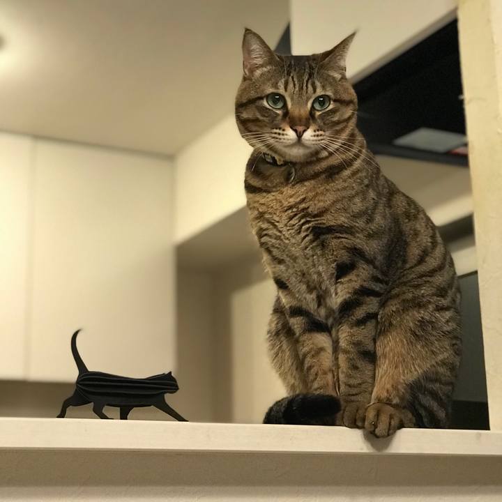 1855e12a 49ab 4978 a522 8de4eb6c9ee9 1515572523547