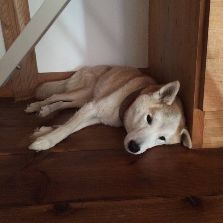 1855ffe6 b59c 425e bac9 2f9d63024c9c 1570950446366