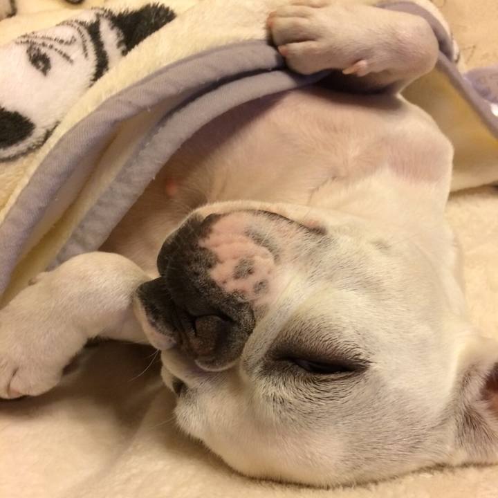 18560a08 1ca6 459d 96dd 8fc783d48e45 1515418874509