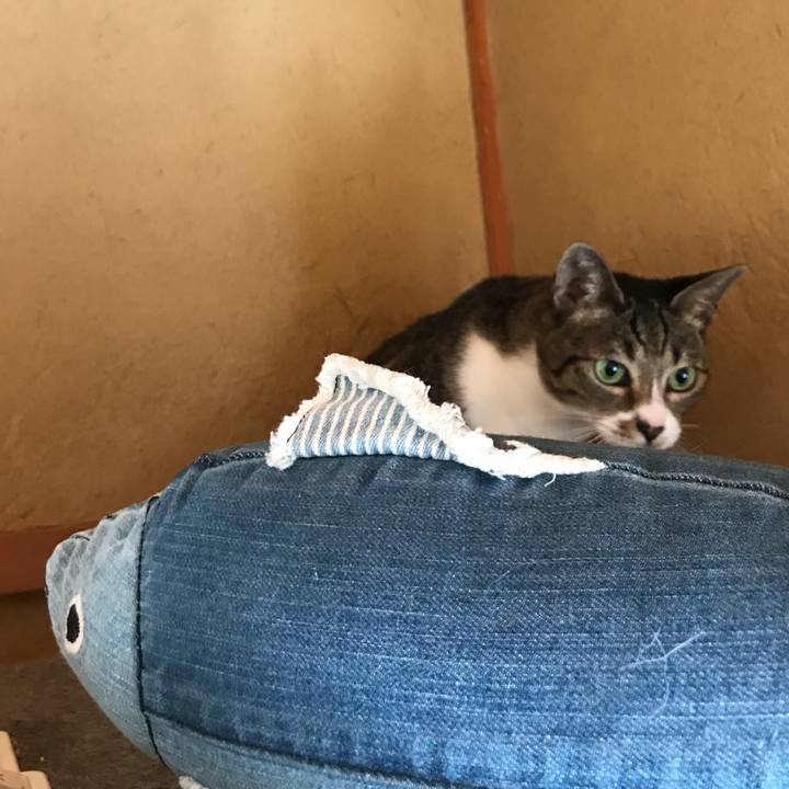 18560feb 29e9 49c7 bbce 0ef4bcc9f34a 1535590596329