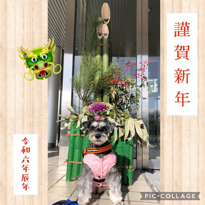 185638c0 7823 4c84 880d 95f3c1fe67c4 1704085572965