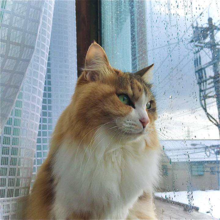 18567721 81ae 41a1 a038 5510ccbddc8e 1610440484308