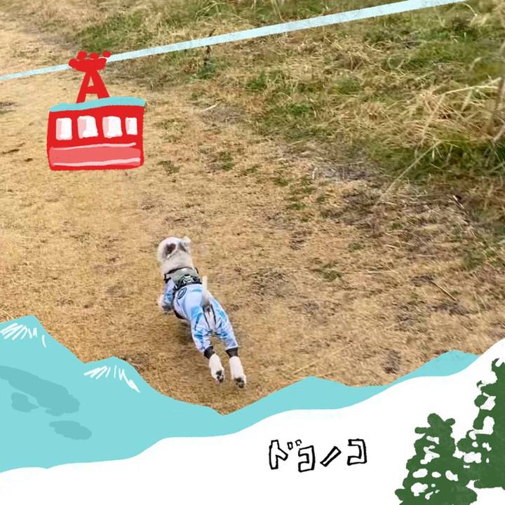 18568343 56b0 4981 a75b f558c1b6389b 1706792422678