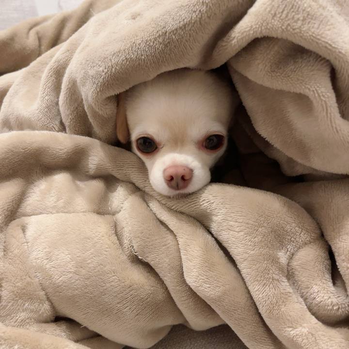 18569ddb 53b0 44f9 b28c 458db80be783 1726238370936