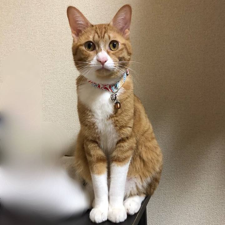 1856b060 558e 4784 a974 c1a10b927002 1559905765805