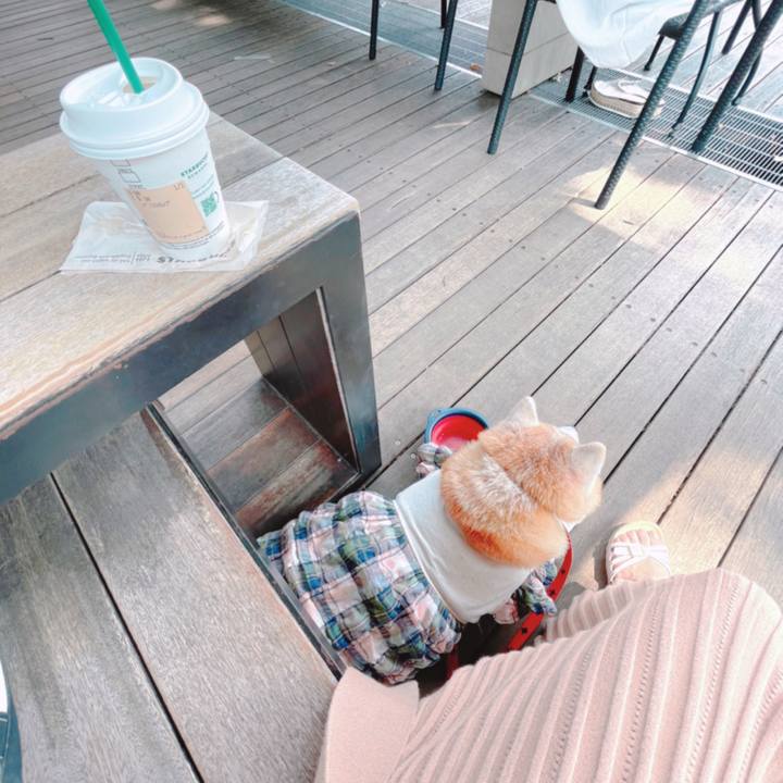 1856f0a4 187a 4965 abab 9da8e4389b32 1630127134966