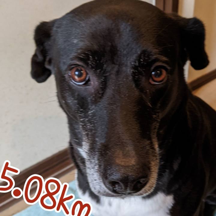 185709e9 99b6 4725 be36 06b326350564 1696465517453