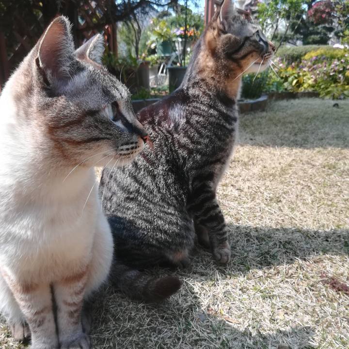 18572f65 f591 46a2 8bdf 31450b18ff4b 1521943830736