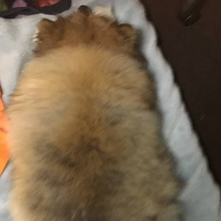 185737fe 9818 4962 b227 61b874aa7ccb 1551334662601