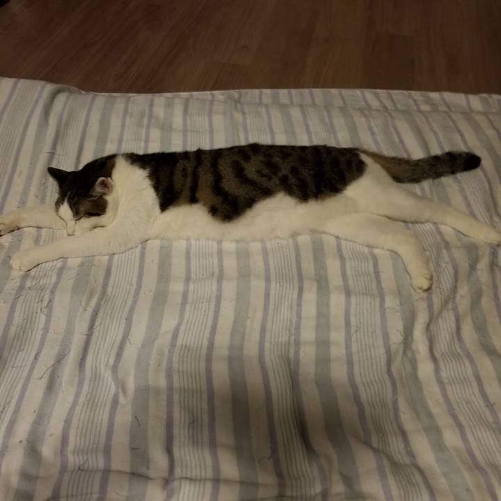 185744a4 0878 4695 b78a 073f5933e435 1599229416017