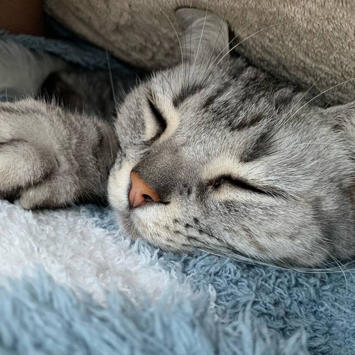 18575214 f42d 47ec 9304 0a4a68b35378 1642817224463