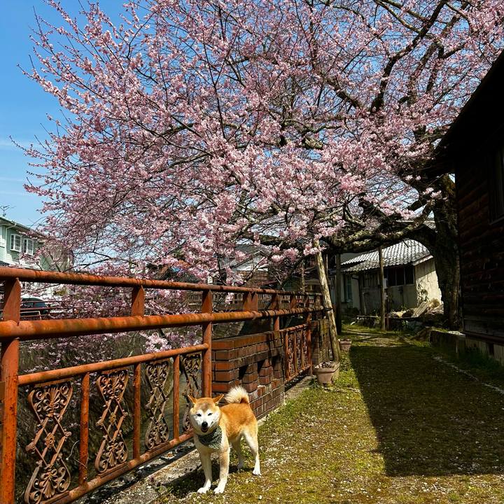 18576d79 48b1 4730 a51d e223e132e578 1712055629914