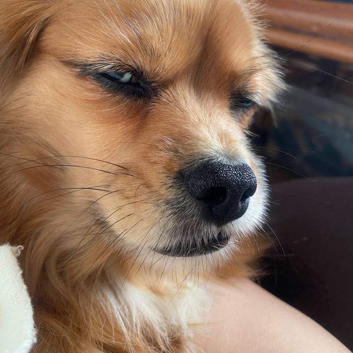 185782a4 c1e1 4dd9 91ef e99156be0419 1670373126399