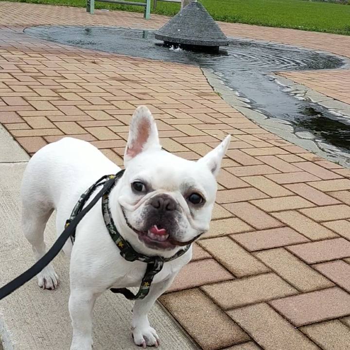 185791b4 0345 4502 b6f3 68a646a4e017 1659665995329