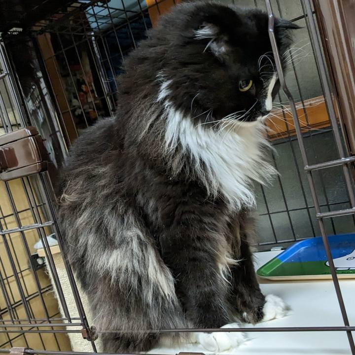 1857a2f0 ede7 4b0c a883 165f75e1919e 1681292660351