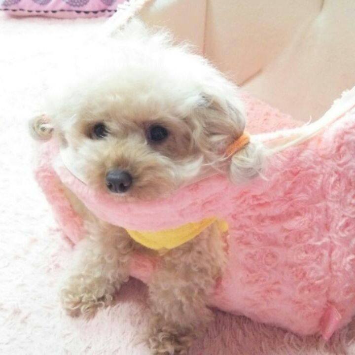 1857b0a0 23dd 4293 9c34 11bf28582b9b 1541157189344