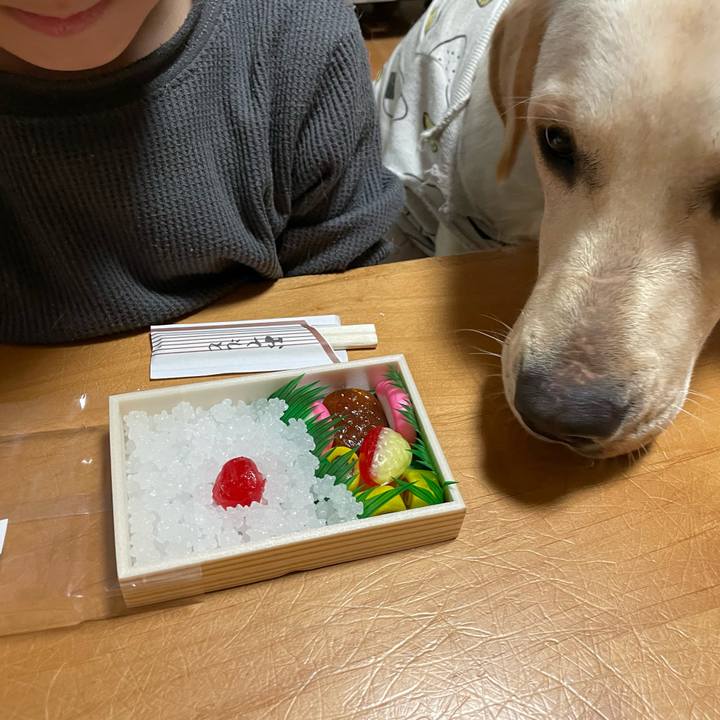 1857f4ec b1f4 43ce 8178 140886a2e1ec 1639909080802