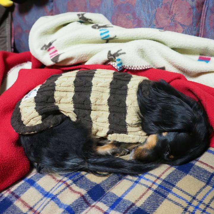 18588cd9 5bf9 4c82 be2c 0f0194d46e73 1577780278746