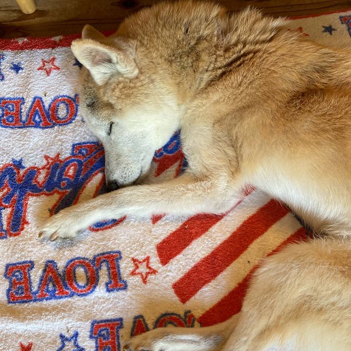 1858ae69 8394 4bf9 a91f e80cba597a58 1597798616949