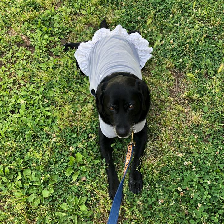 1858bf12 4ea3 4ce8 8bdd d0ecd29c9211 1557990867429