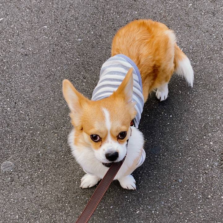 1858cb01 c97e 4b6c 8006 83da3919c31d 1580799425413