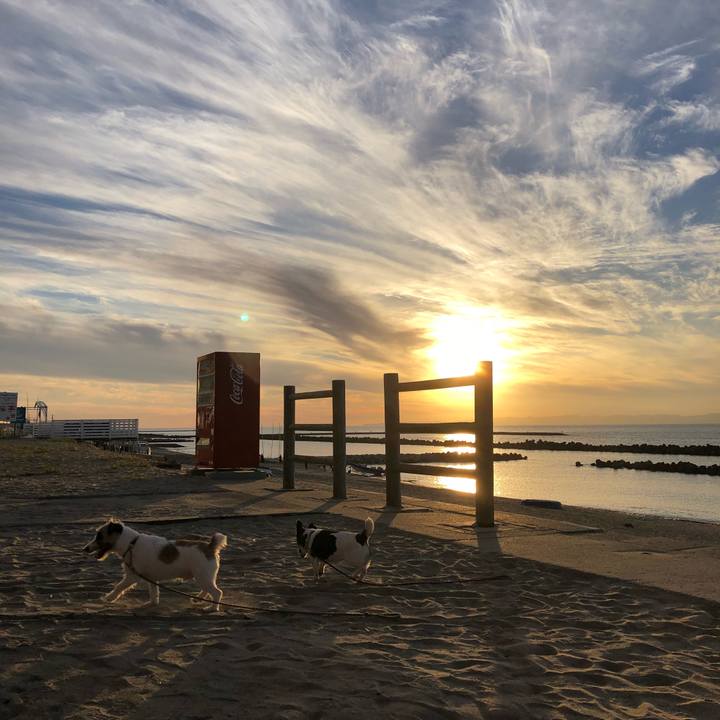 1858d1e1 cc74 49b1 90f9 45059dea770a 1537349720177