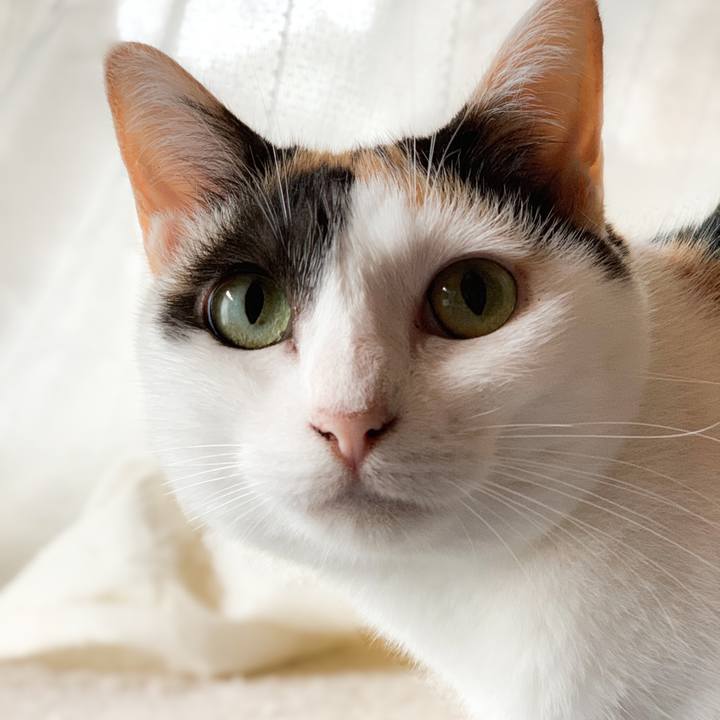 1858d9f3 5133 44f2 89d7 f15461e9d1f6 1568683903838