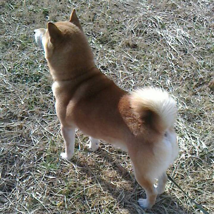 1858e618 5c4c 42b3 8bab 29998074c3ce 1515662543531