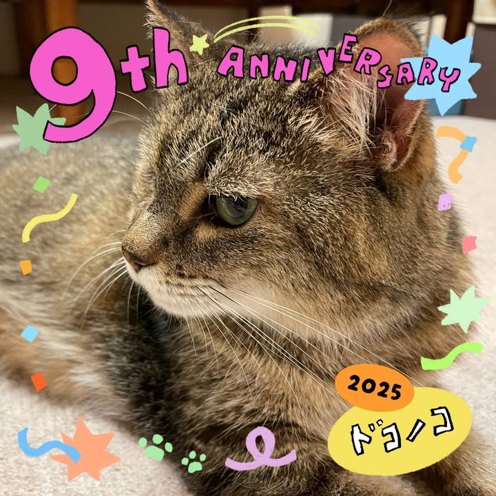 1858ef75 208a 45dd b196 2f1d585258d6 1749612930904