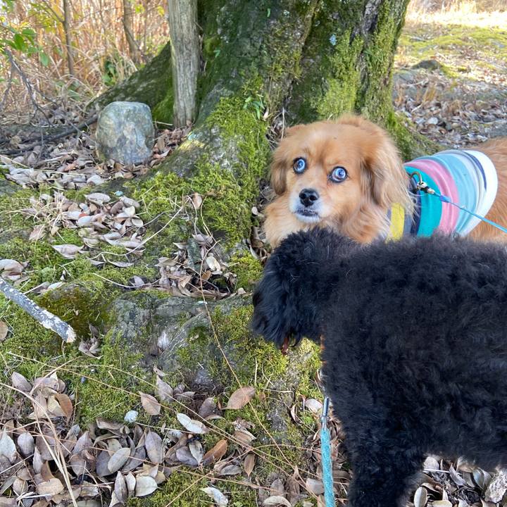 1858f406 0243 43b1 9c67 5264be3bd6ad 1609722253963