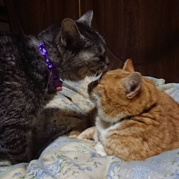 1858f71f df8c 40f5 89b7 a2a67c9118d9 1582806186050