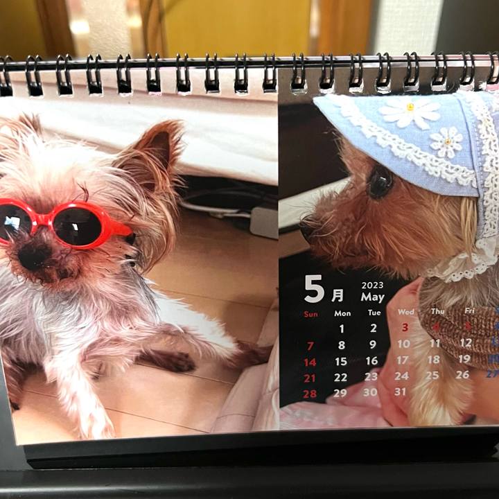 18593dc3 7b8d 4068 b8d8 582f2e7587ab 1682905414196