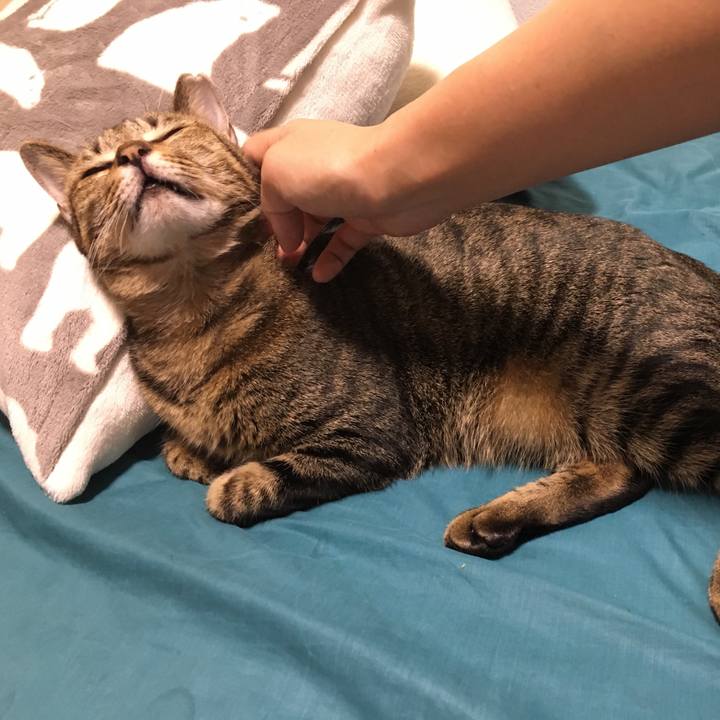 18593e8c ad25 44ac ae9e 8acdd0ac62ea 1539146720743