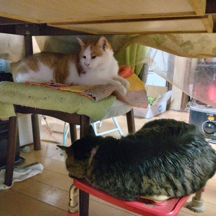 1859421a eb17 49ed 87d7 748c63c162dd 1765971485141