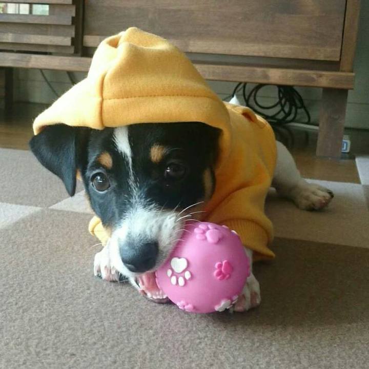 1859628f 7094 4a9a a98c 4f87f839ce76 1511619457748